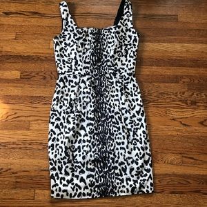 Animal Print White House Black Market Dress
